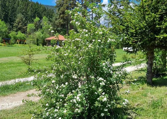 Willa райски кът 2 - *